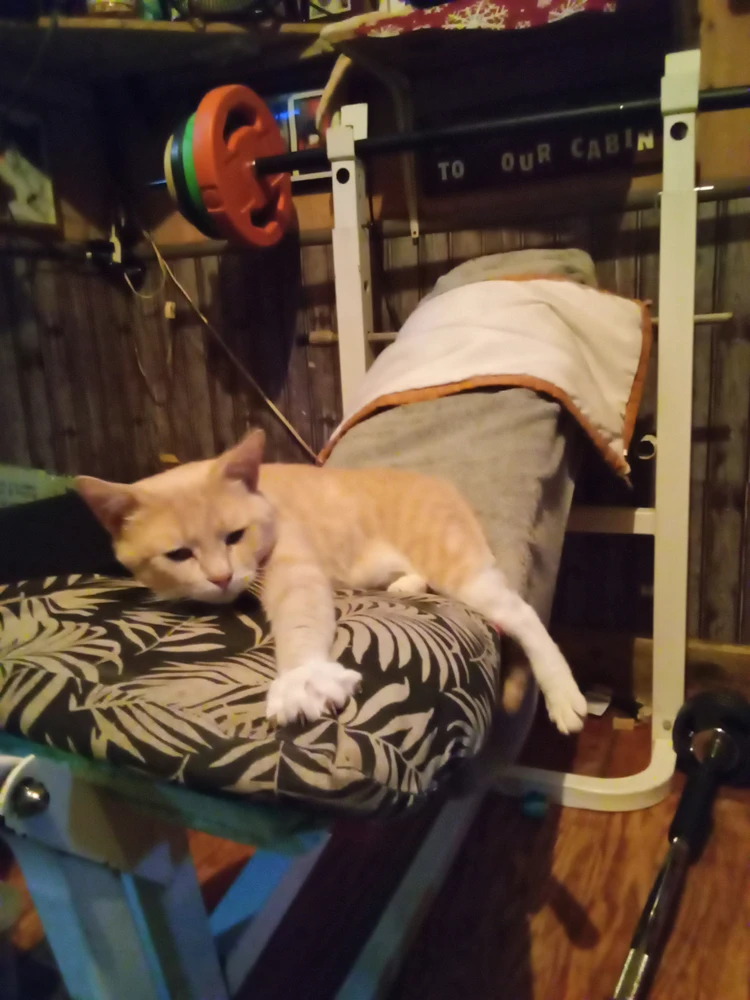 Aaron tomonidan yuklangan GIF