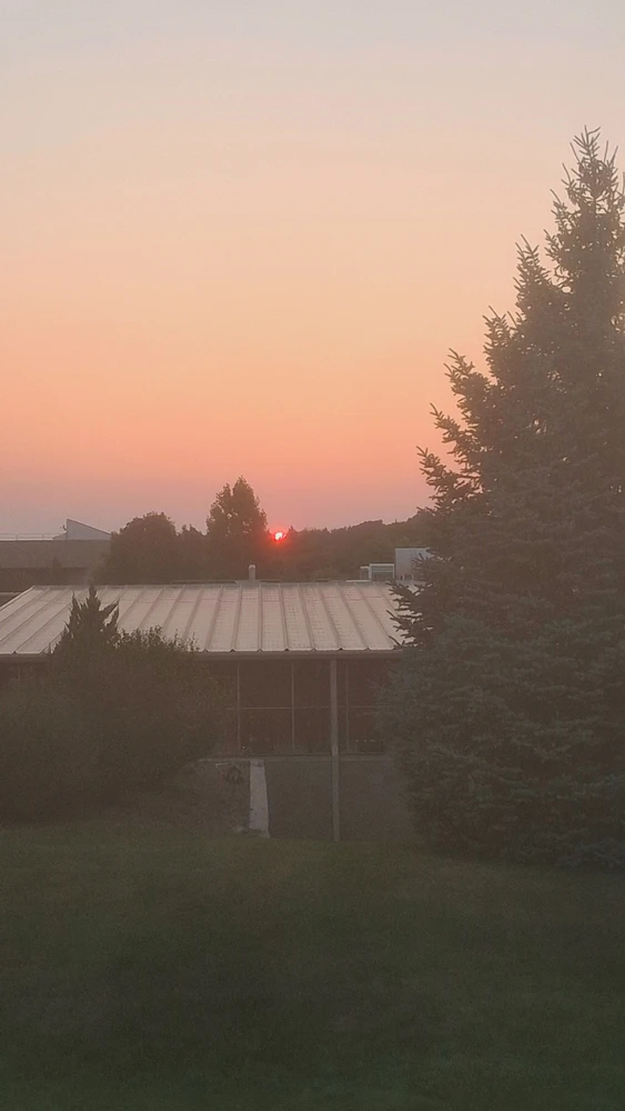 Link āĻāĻĒāϞā§āĻĄ āĻāϰāĻž GIF