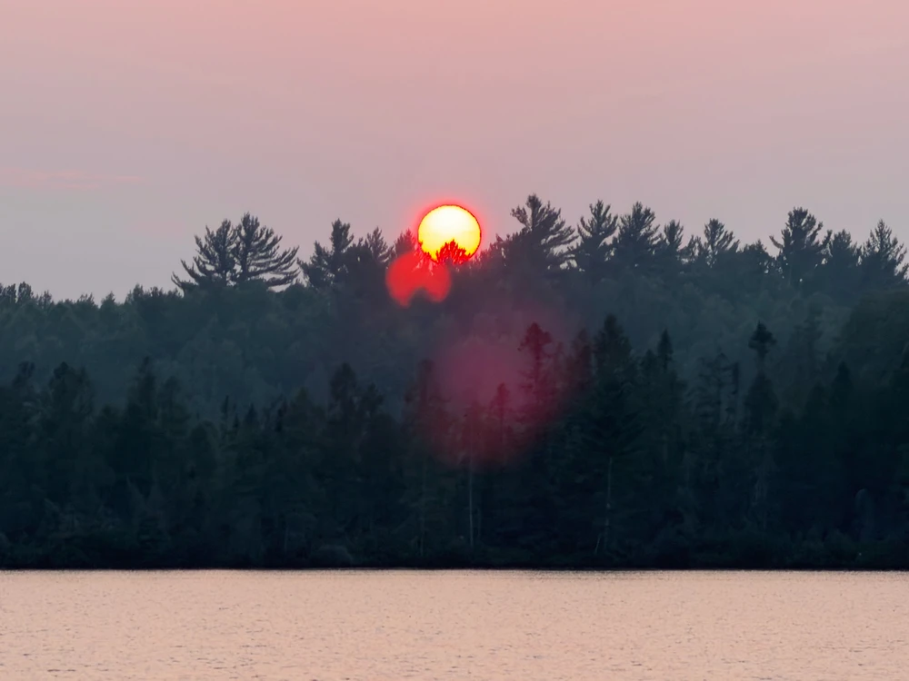 GIF üles laaditud kasutajalt Robbie