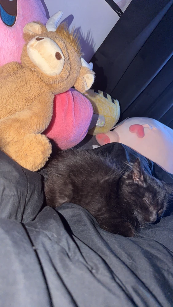 GIF uploaded by Mya