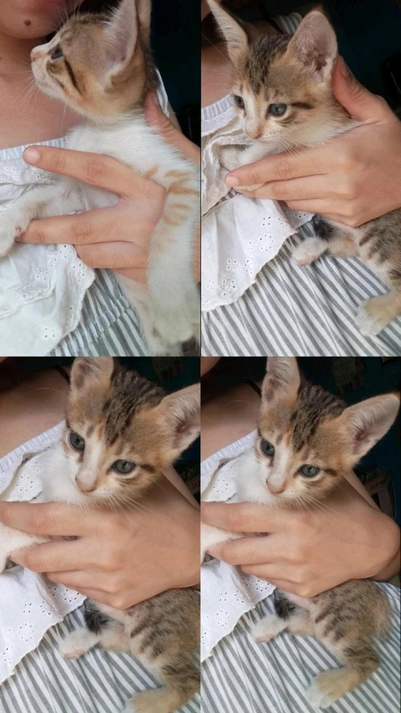 GIF uploaded by chelle