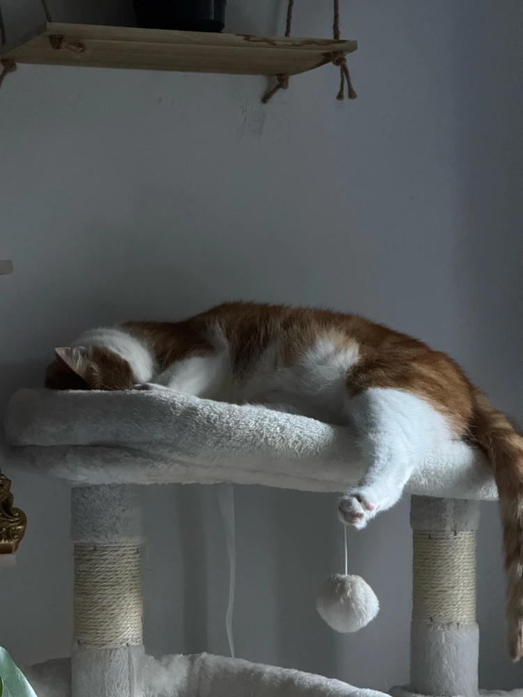 GIF uploaded by Klavdija