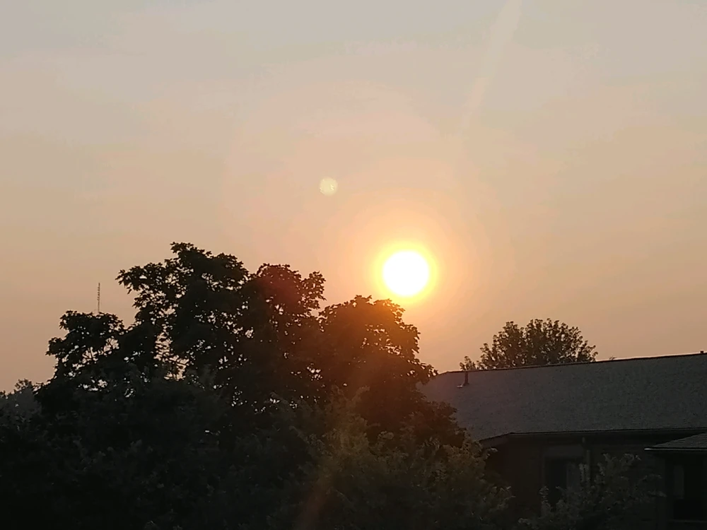 GIF uploaded by Eon