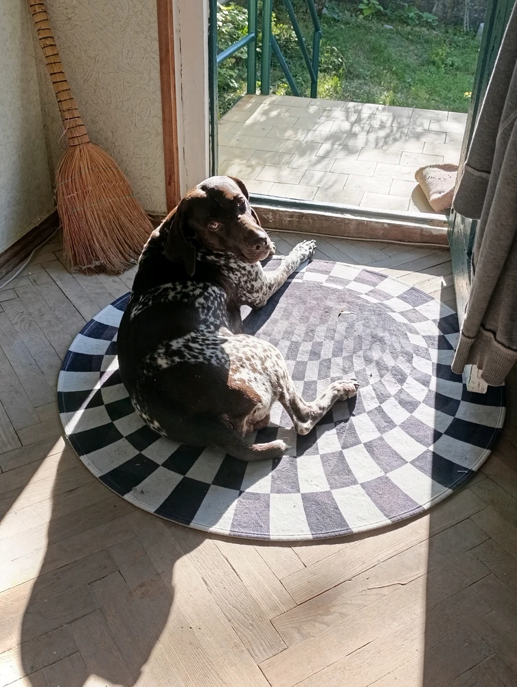 GIF uploaded by Nika