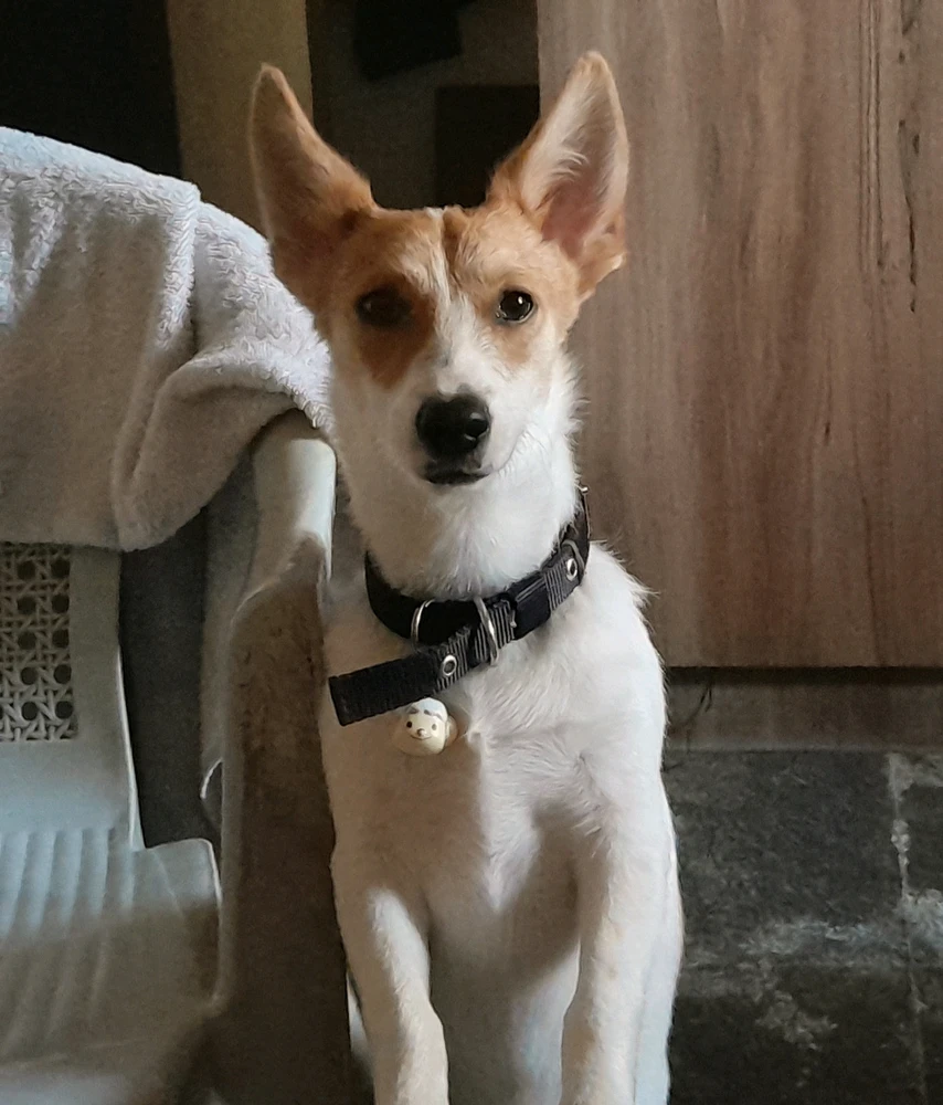 GIF uploaded by Vinodh