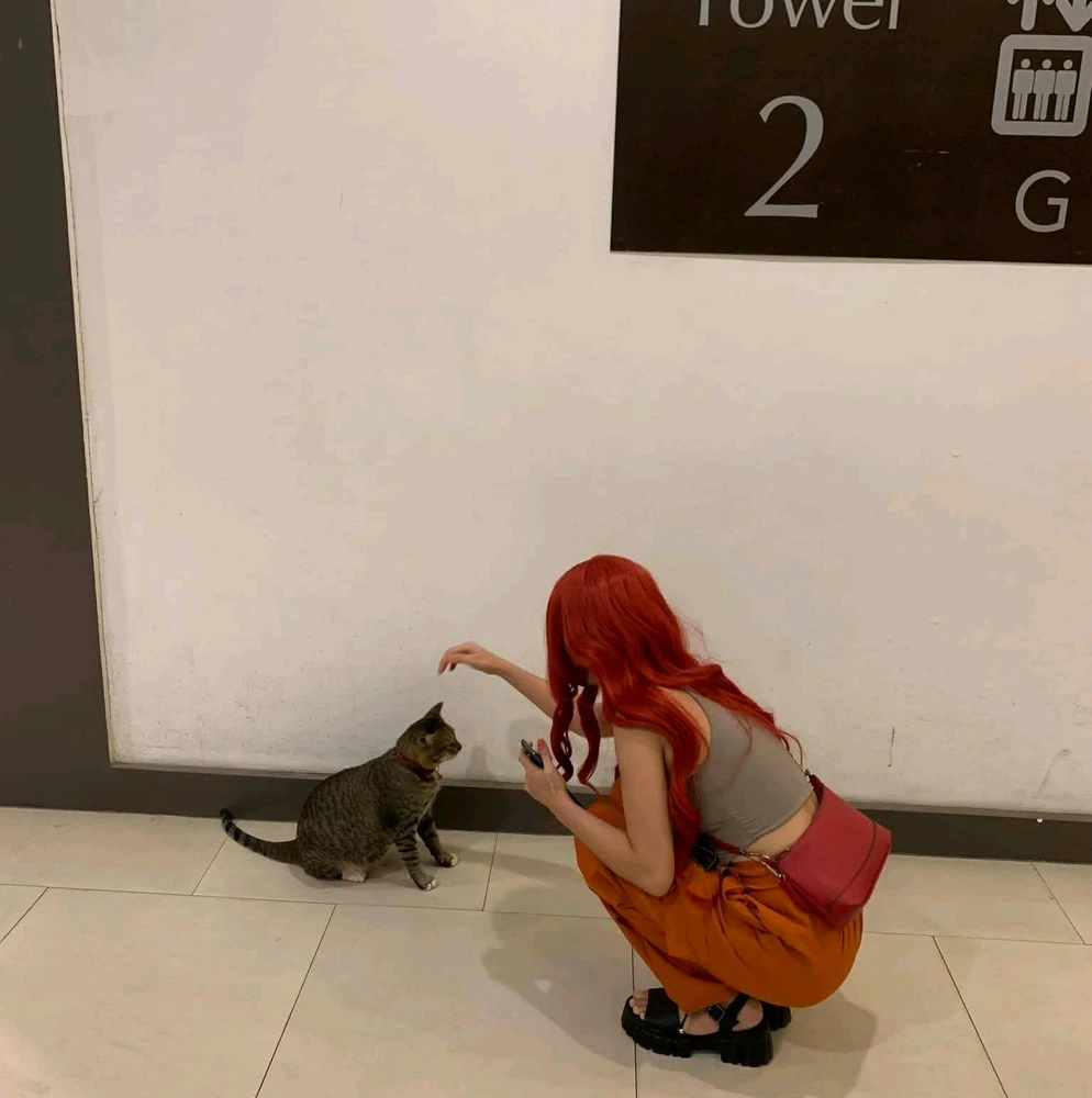 Gambar diunggah ku lia