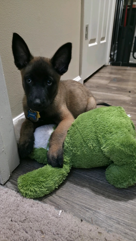 GIF uploaded by Nolan
