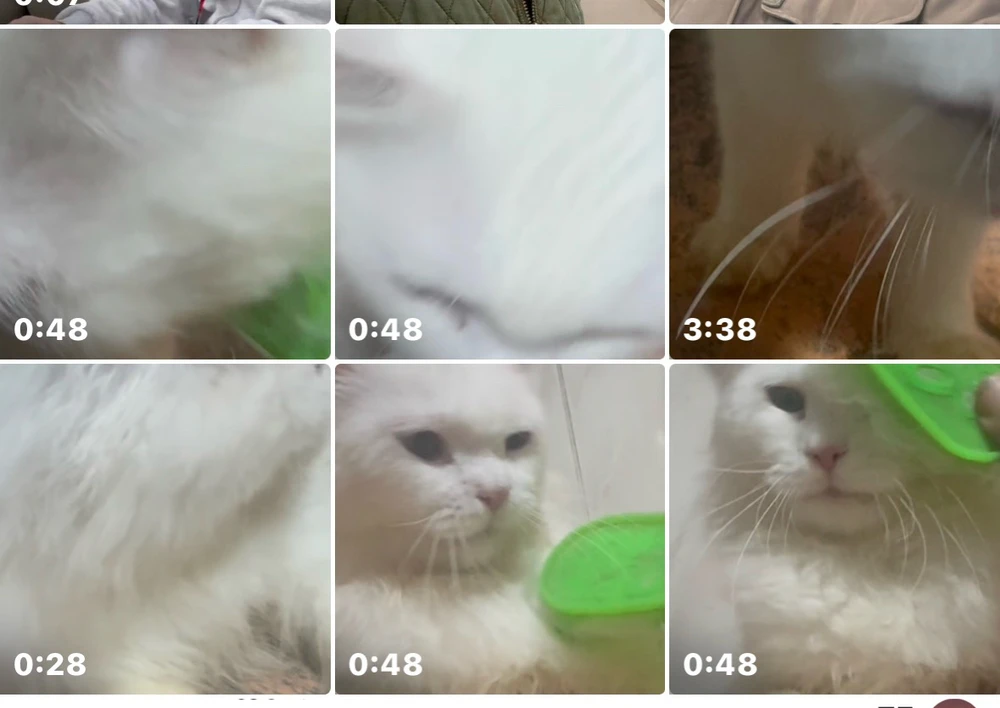 GIF gi-upload ni Amr