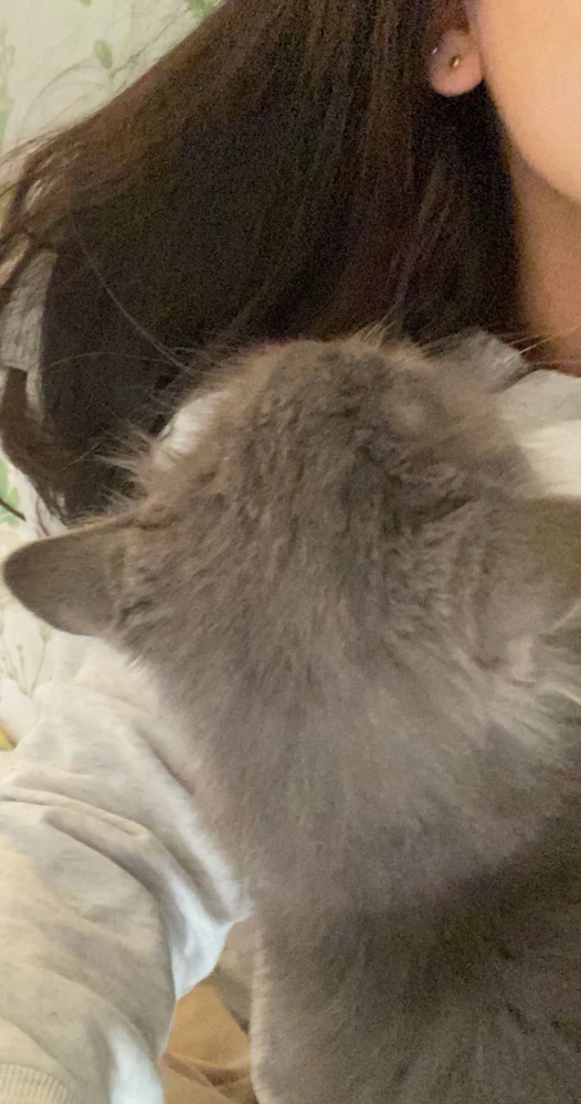 GIF G tərəfindən yükləndi