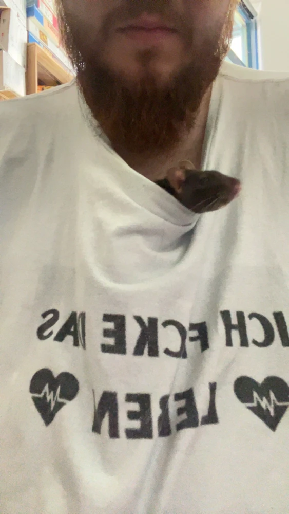 GIF uploaded by Jan