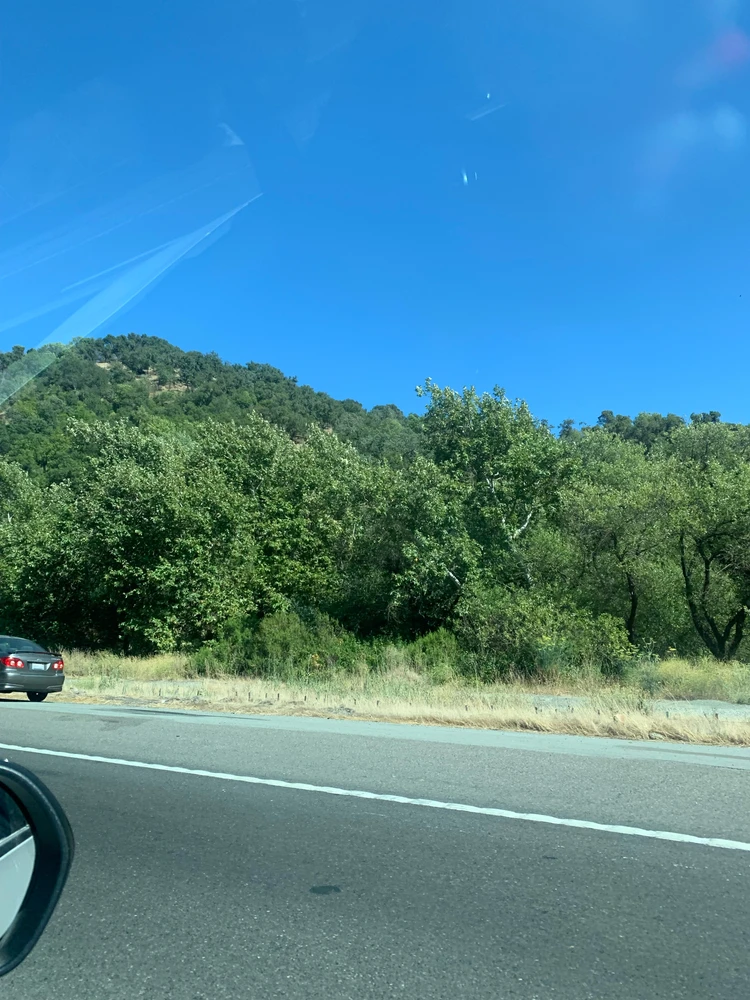 GIF uploaded by Thorn
