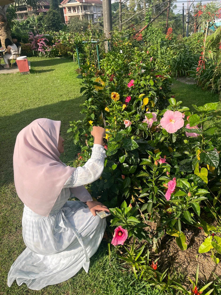 Image uploaded by Amel