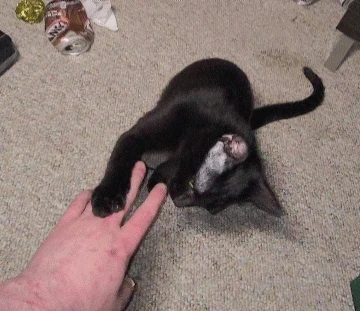 GIF hochgeladen von Wesley