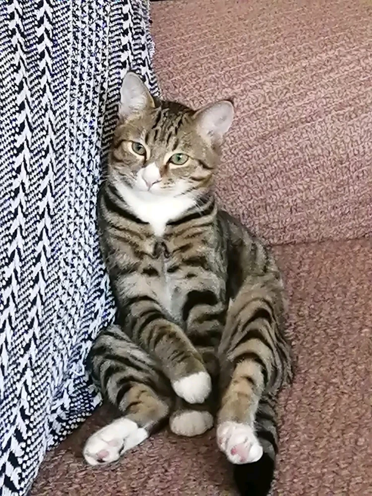 Bild hochgeladen von Katt