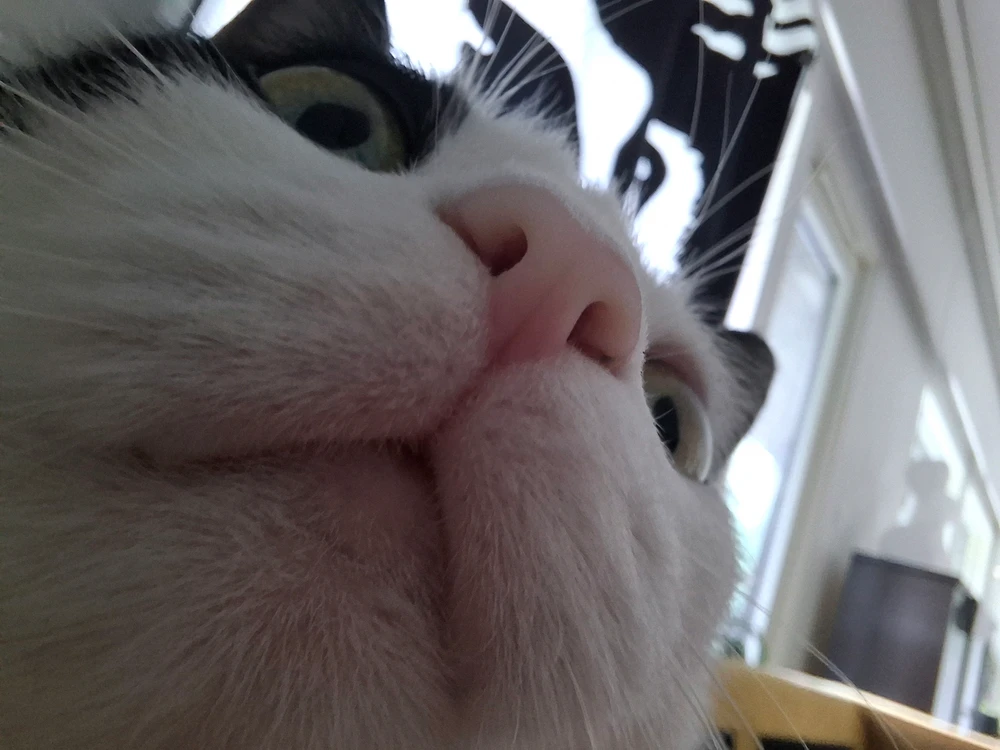 GIF Aida tərəfindən yükləndi
