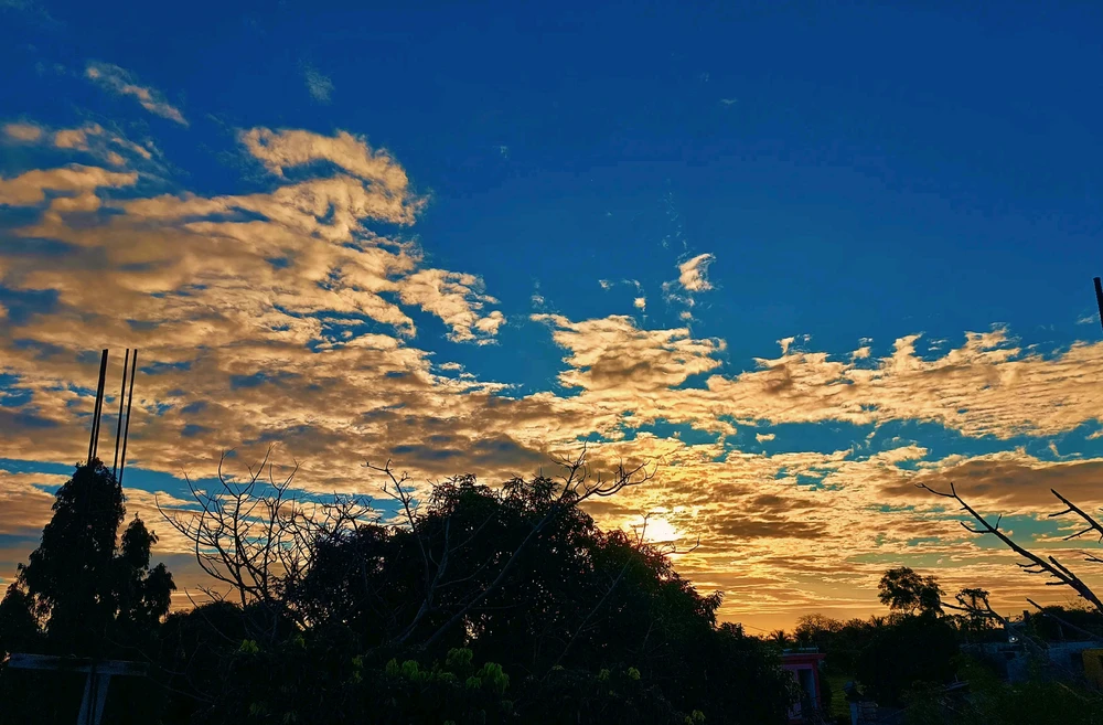 تصویر آپلود شده توسط αηα