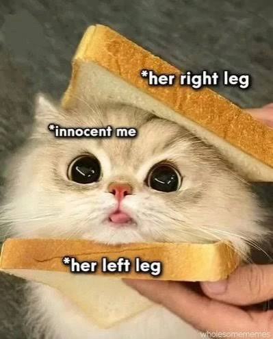 GIF diunggah oleh Subhra