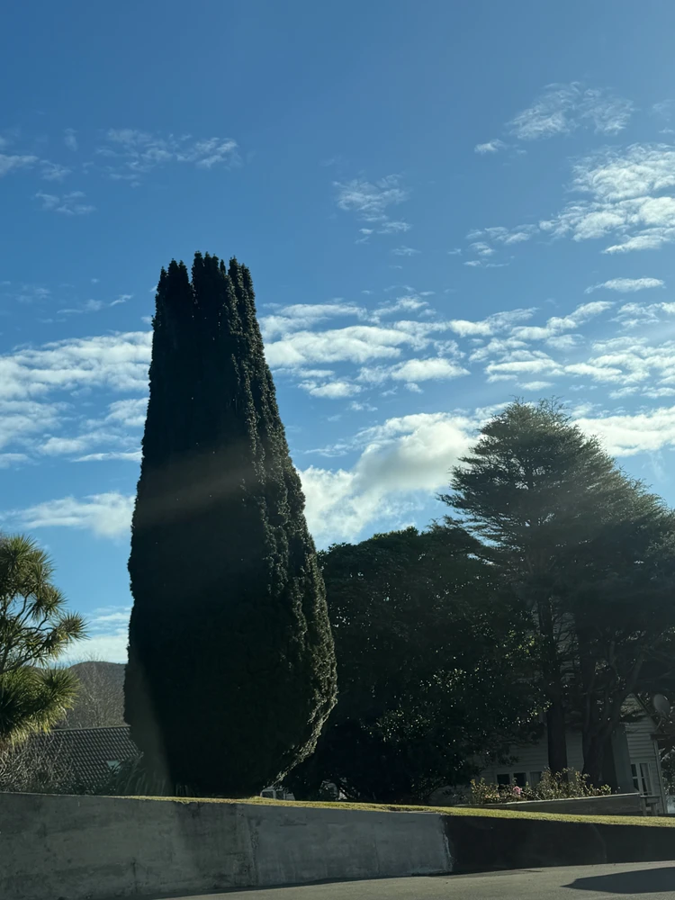 GIF uploaded by IlykU