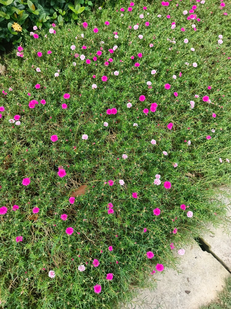 GIF uploaded by Irene