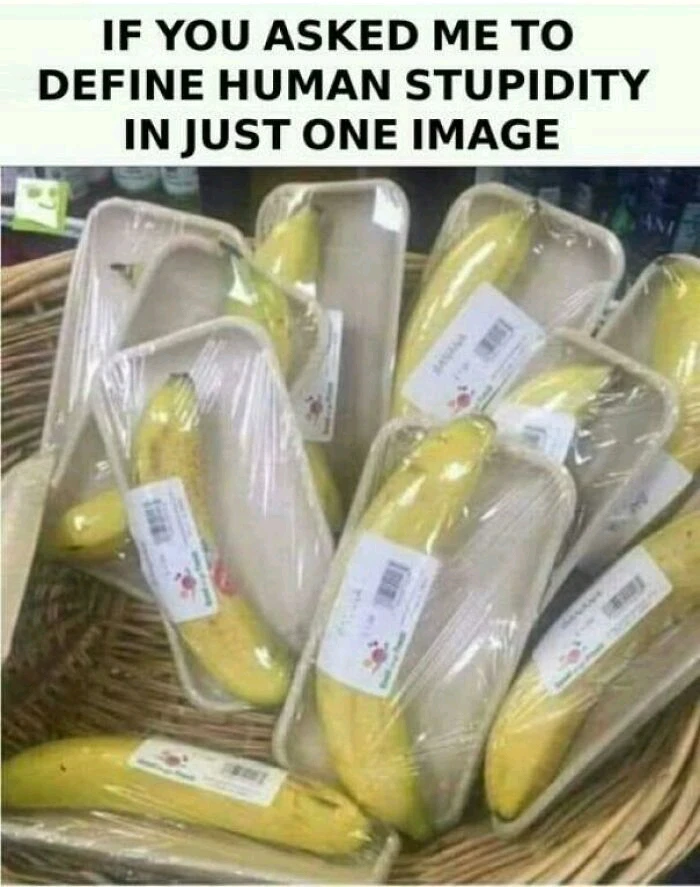 GIF загружаны Benjiggity
