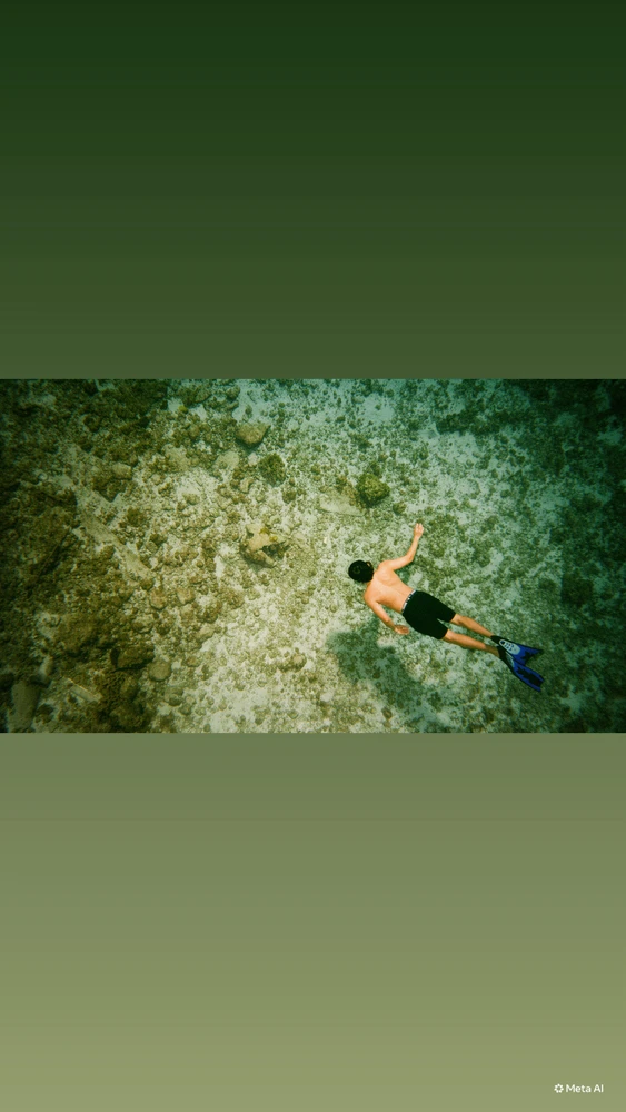 GIF uploaded by Alexis