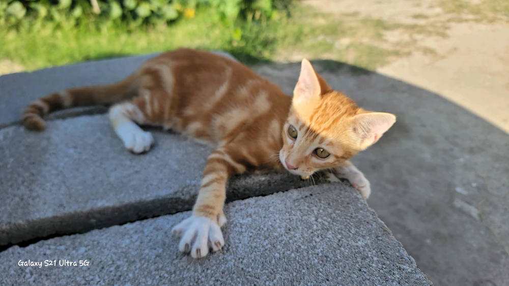 GIF uploaded by Sebastian