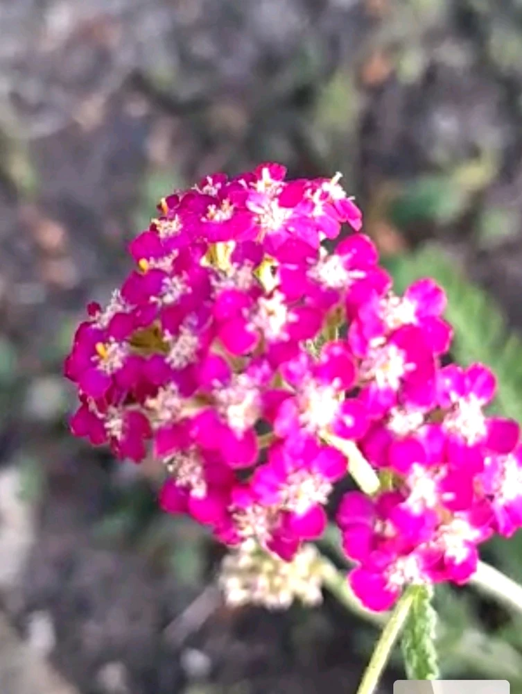 GIF uploaded by Jossy