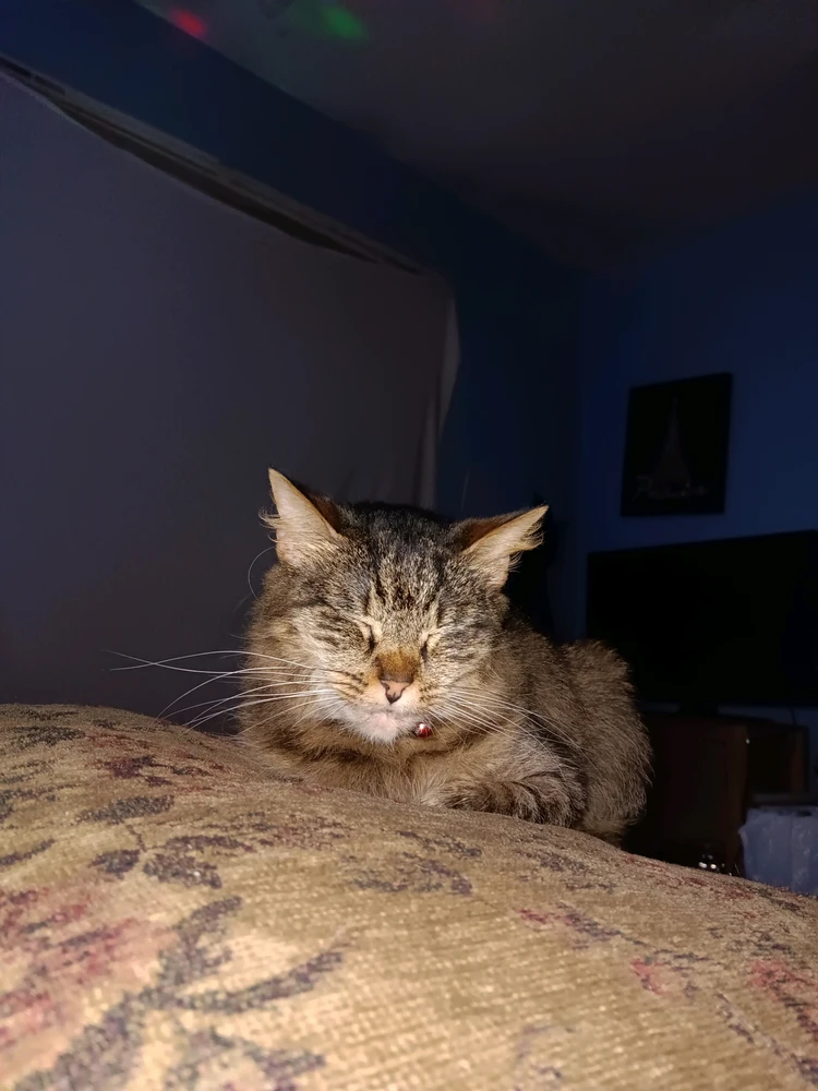 GIF uploaded by Hayden