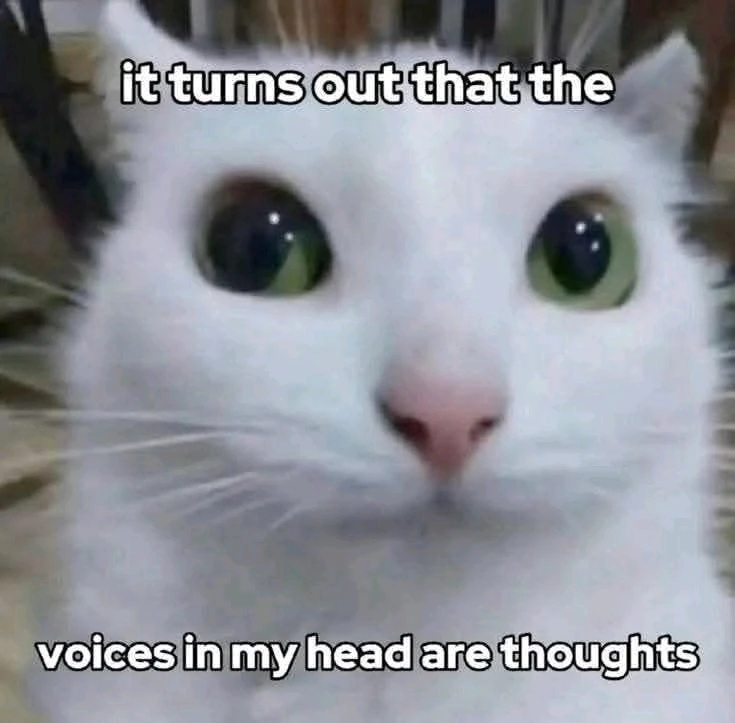 GIF загружаны Julz