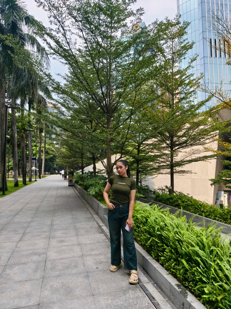Pris විසින් උඩුගත කළ රූපය