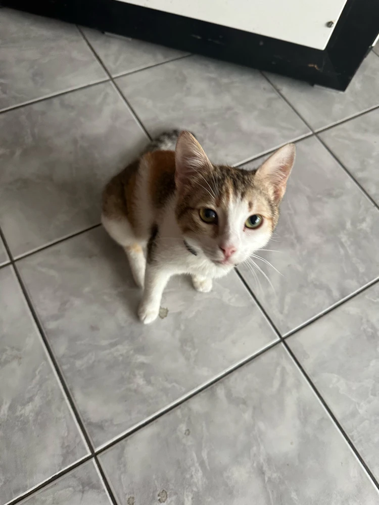 GIF uploaded by Eren