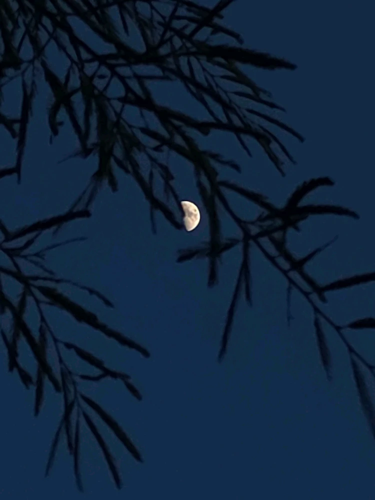 Image uploaded by Cehlihnah