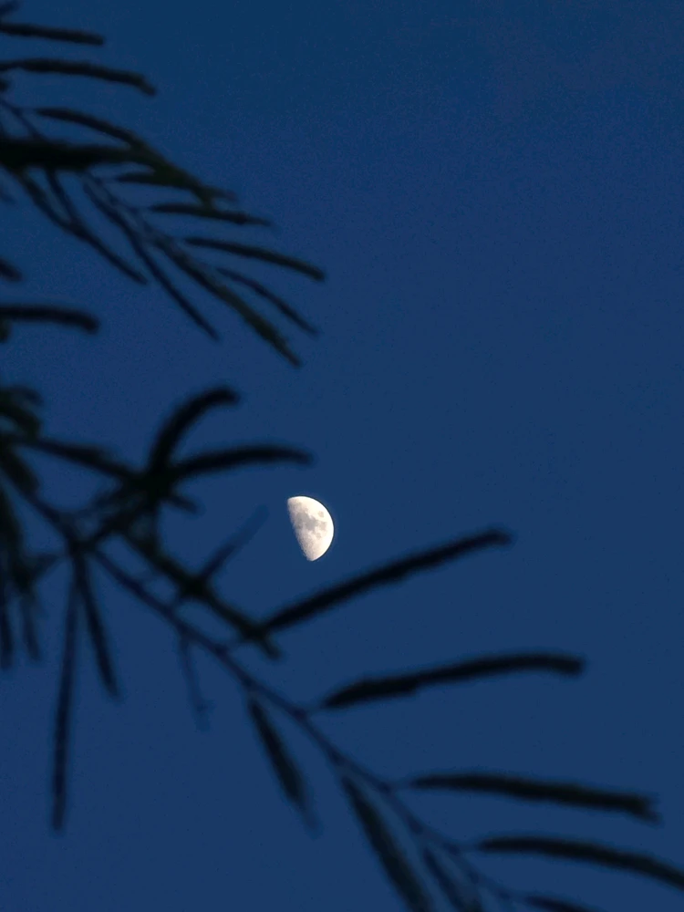 Image uploaded by Cehlihnah