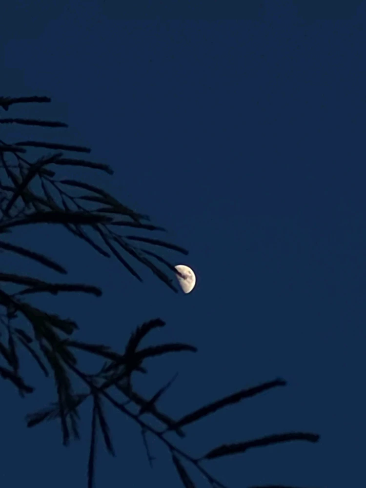 Image uploaded by Cehlihnah