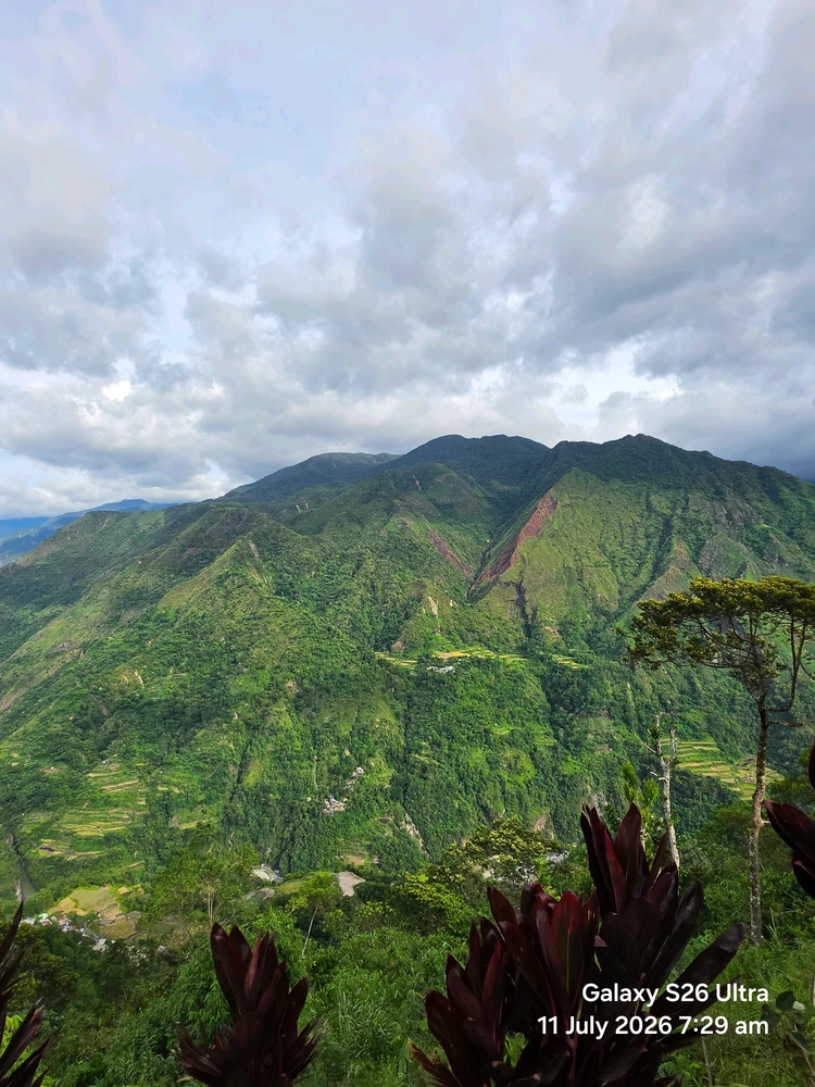 Image uploaded by Cehlihnah