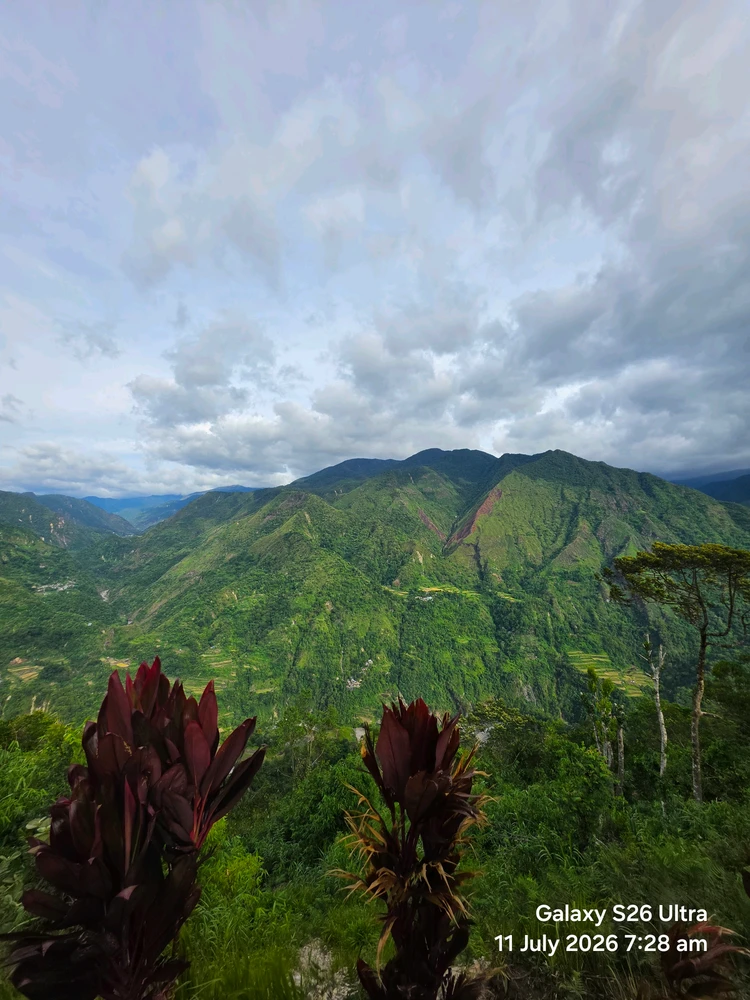 Image uploaded by Cehlihnah