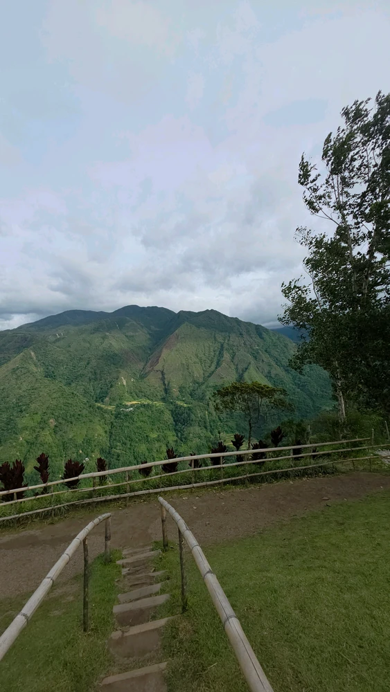 Image uploaded by Cehlihnah