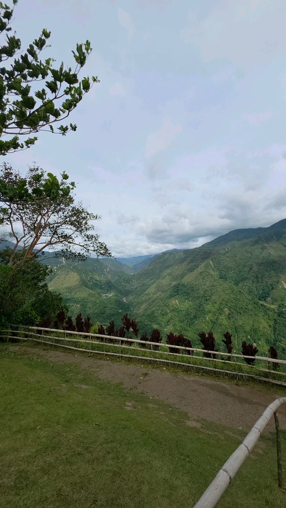 Image uploaded by Cehlihnah