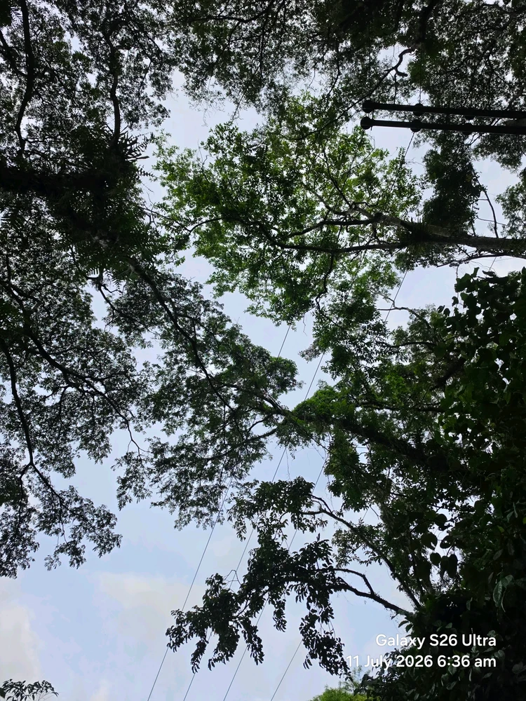 Image uploaded by Cehlihnah