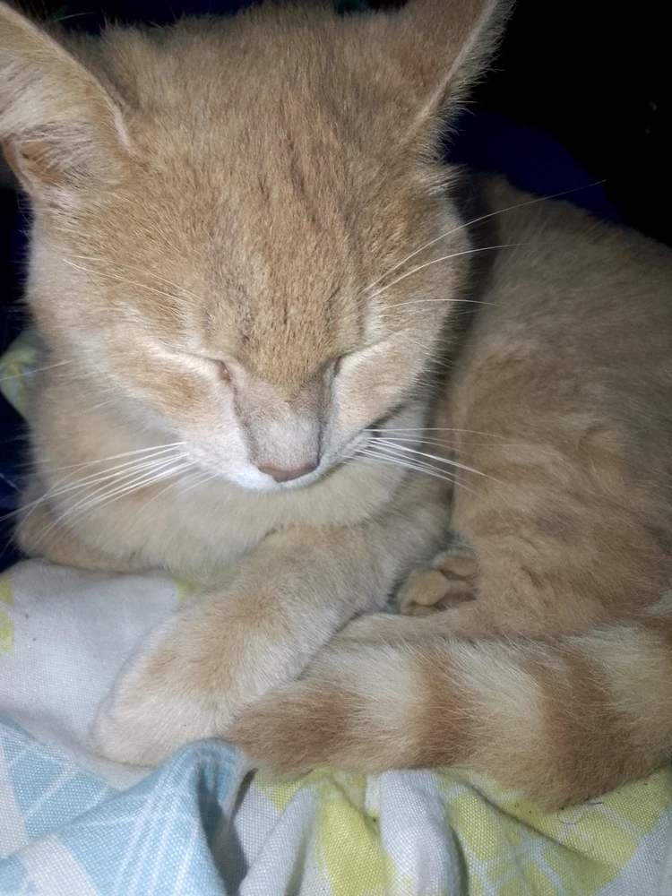 GIF uploaded by Hoka