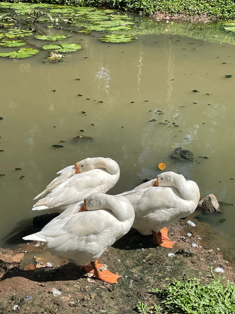 GIF uploaded by Sant