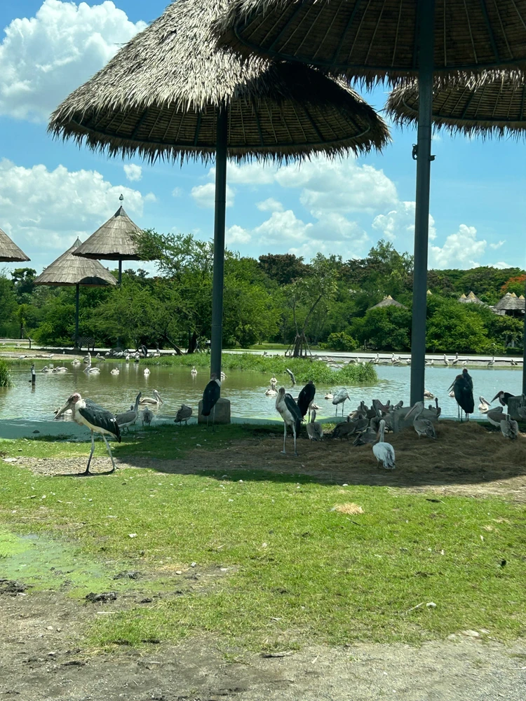 GIF uploaded by Kevin