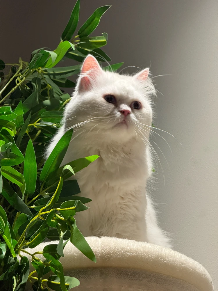 GIF uploaded by shyam