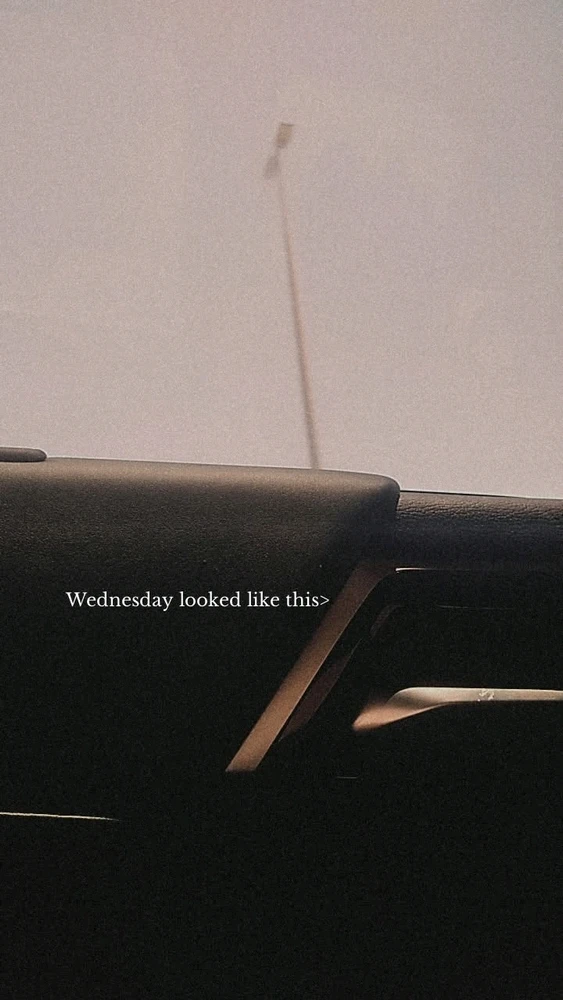 GIF subido por Penny