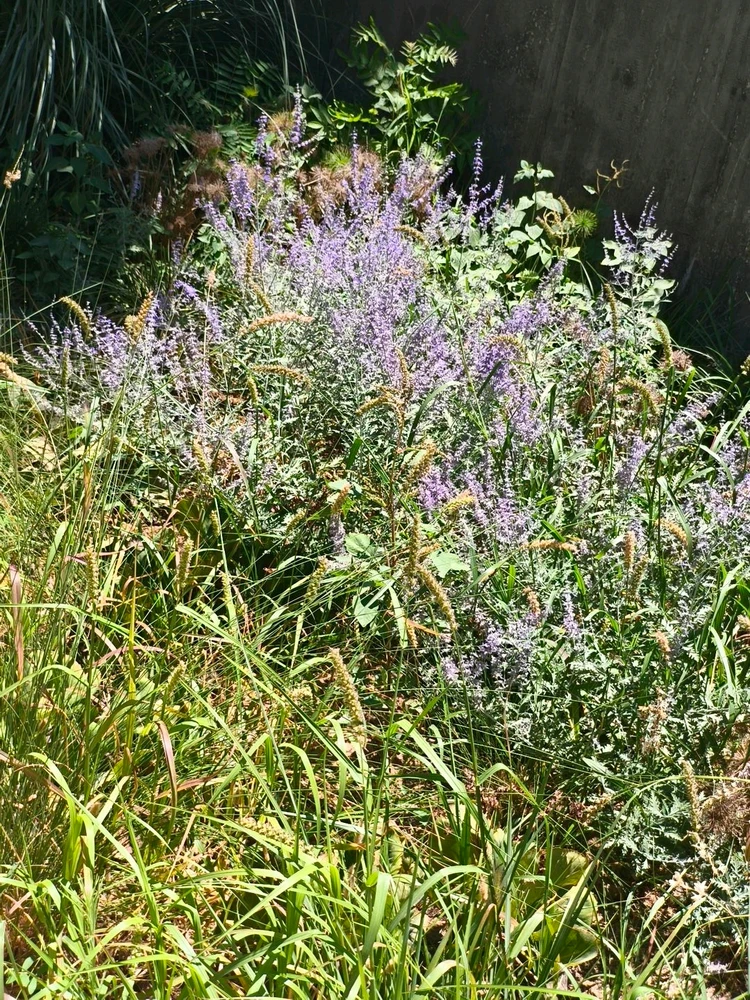 GIF uploaded by חן