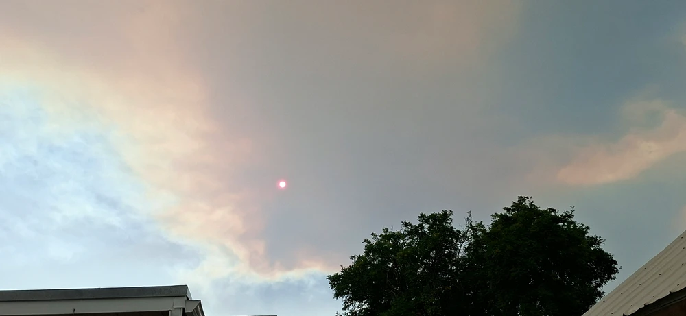 Bract байршуулсан зураг
