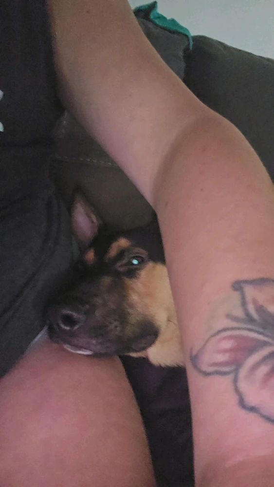 Bild eropgeluede vum Jamie