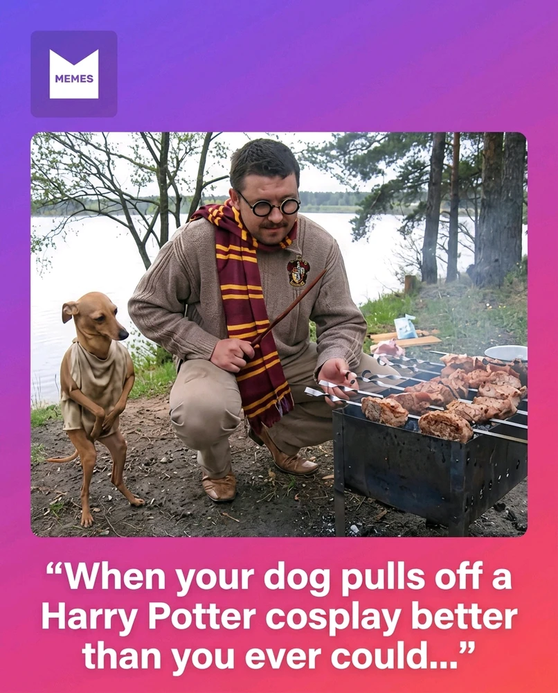 GIF pujat per Benjiggity