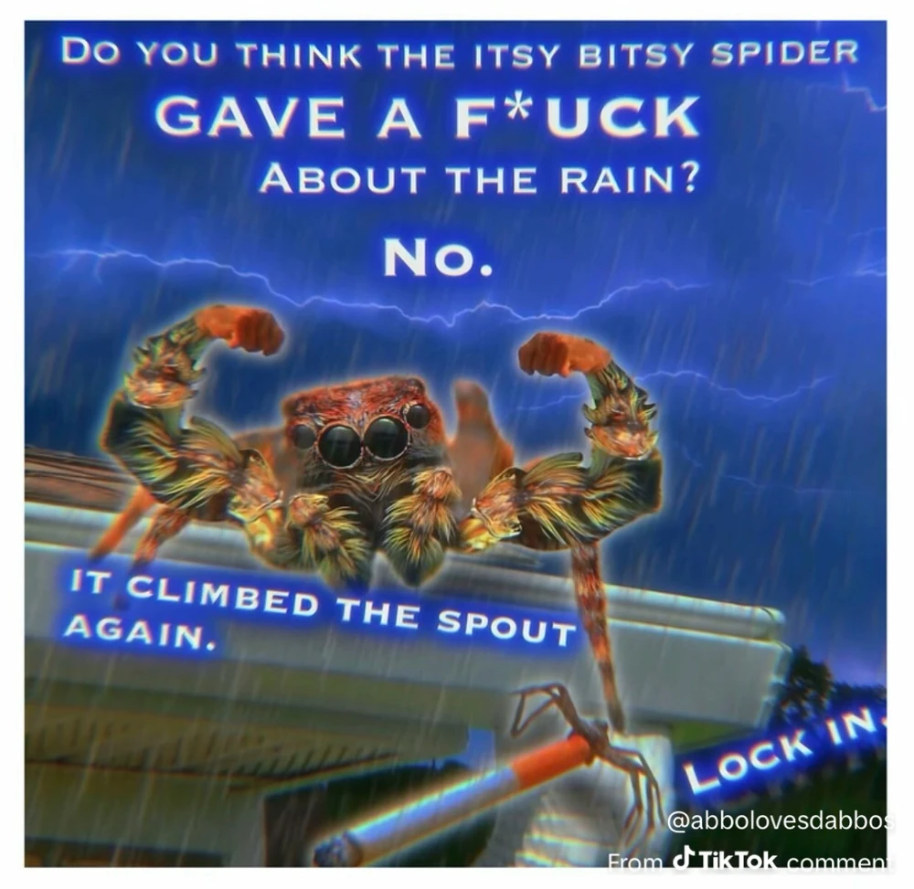 GIF uploaded by Ashley