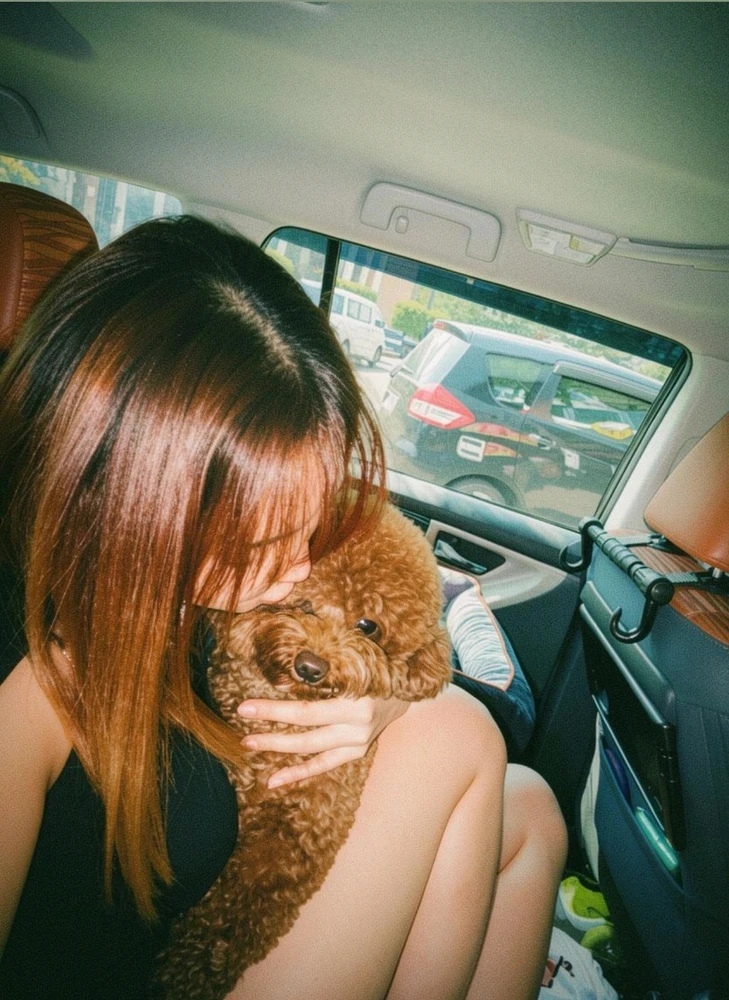 GIF eropgeluede vum feiifeii